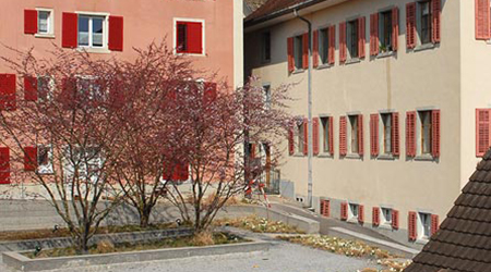 card-image
